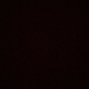 Meet your Posher, Will